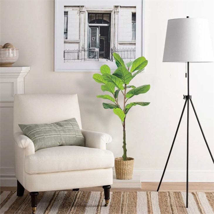 artificial ficus plant