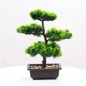 Kunstmatige pijnboombonsai