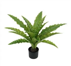 Nep varenboom